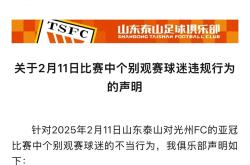 关于泰山遭遇争议红牌，本泽马乘势反超比分完成逆转的信息