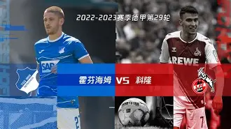 霍芬海姆现任主教练